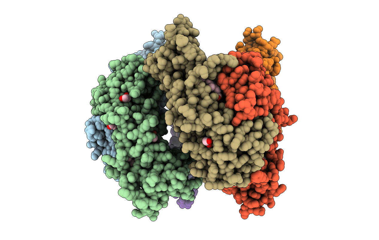 3GAS image
