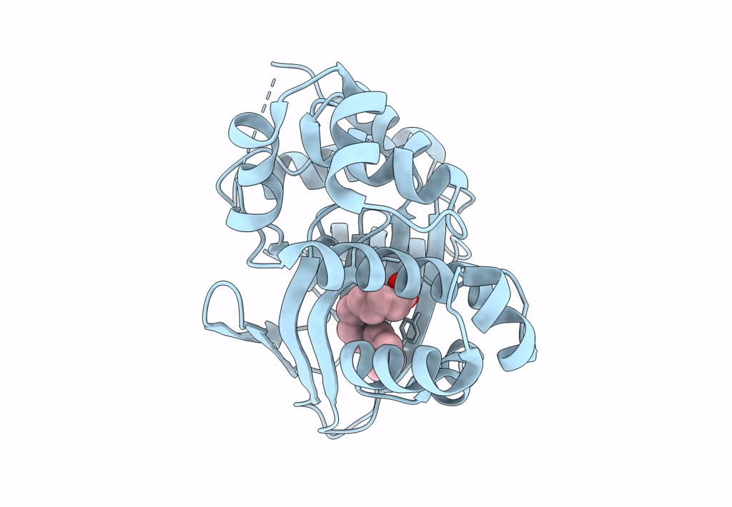 3GBG image