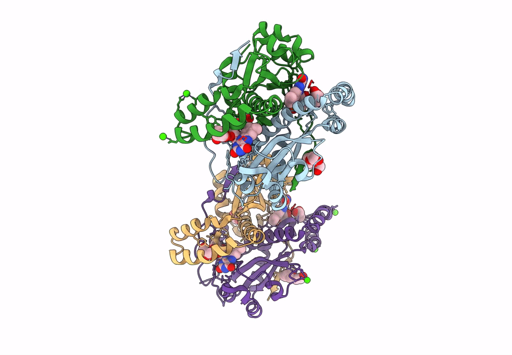 3GBH image
