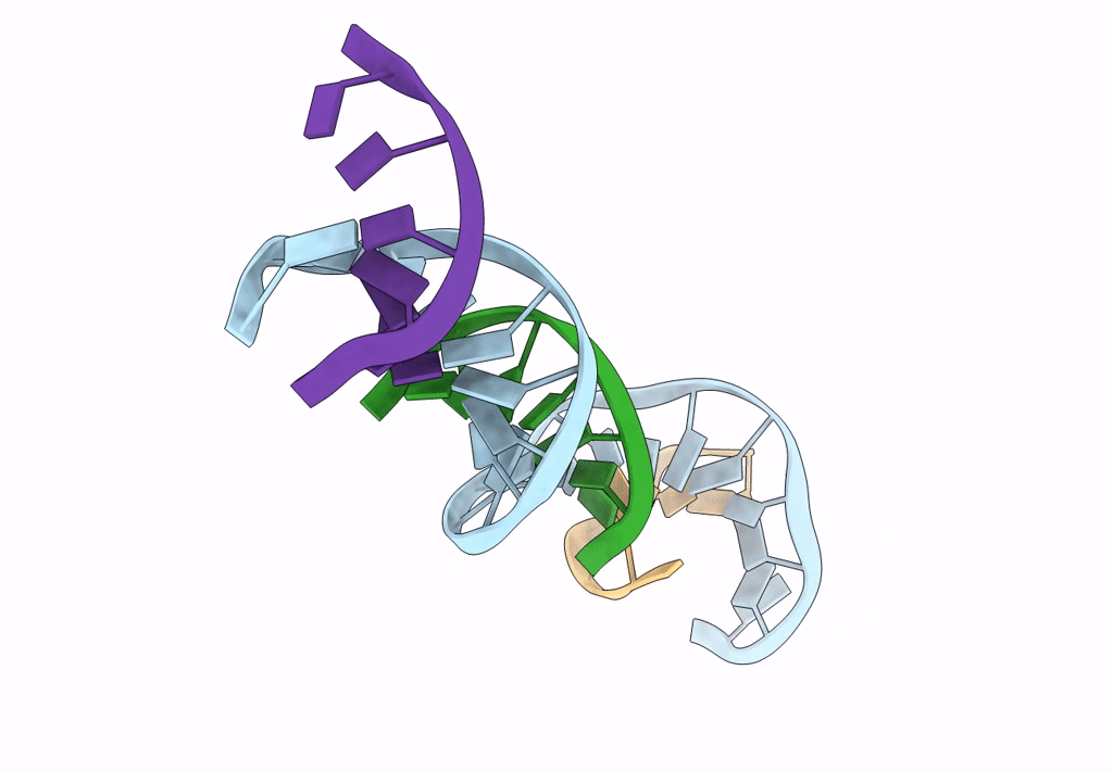 3GBI image