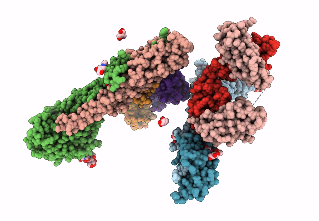 3GBM image
