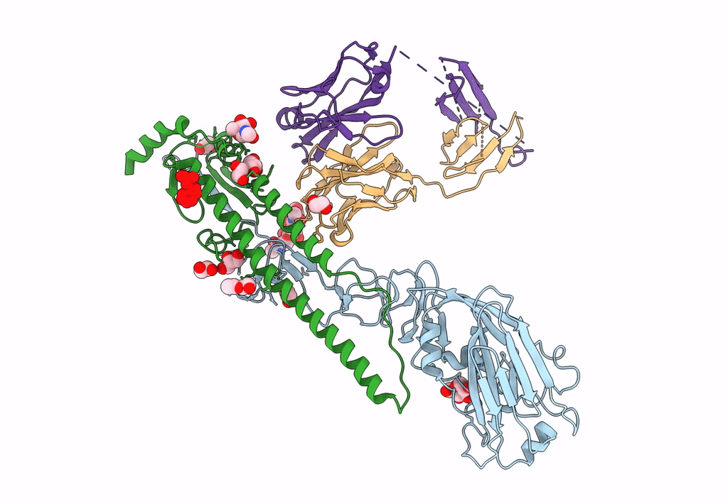 3GBN image
