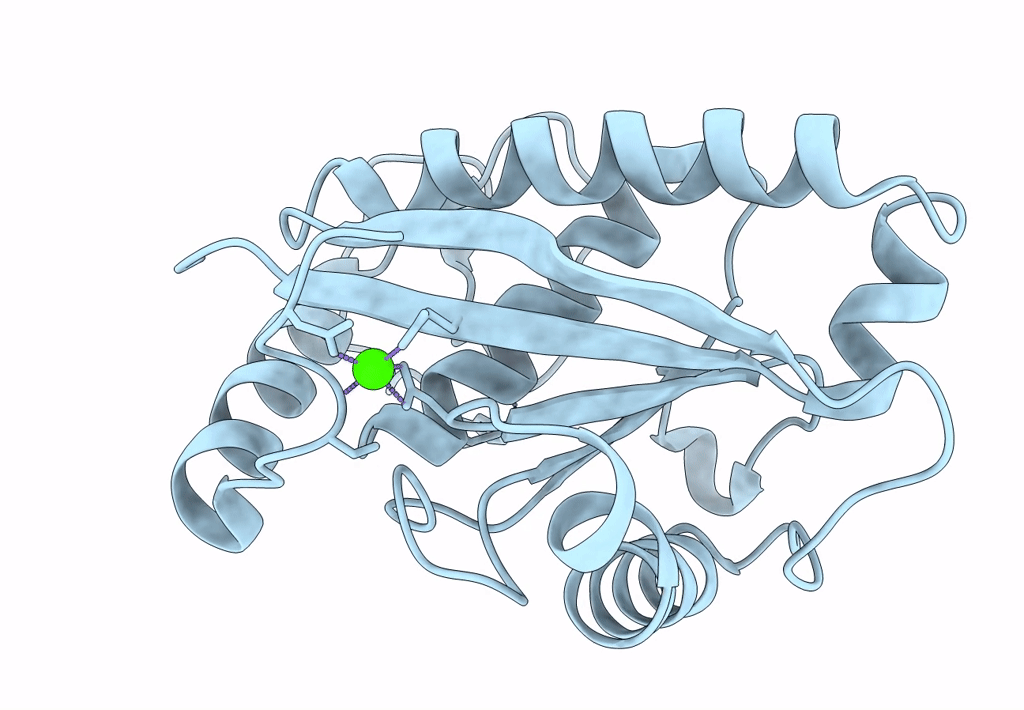 3GBO image