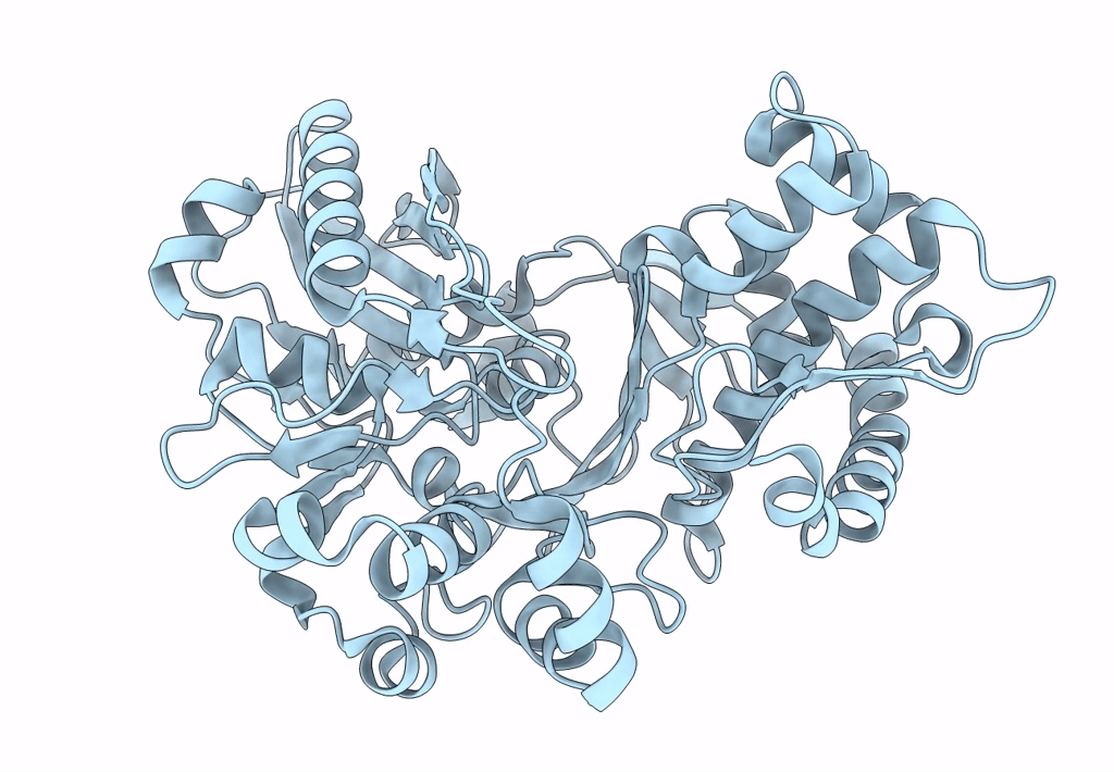 3GBT image