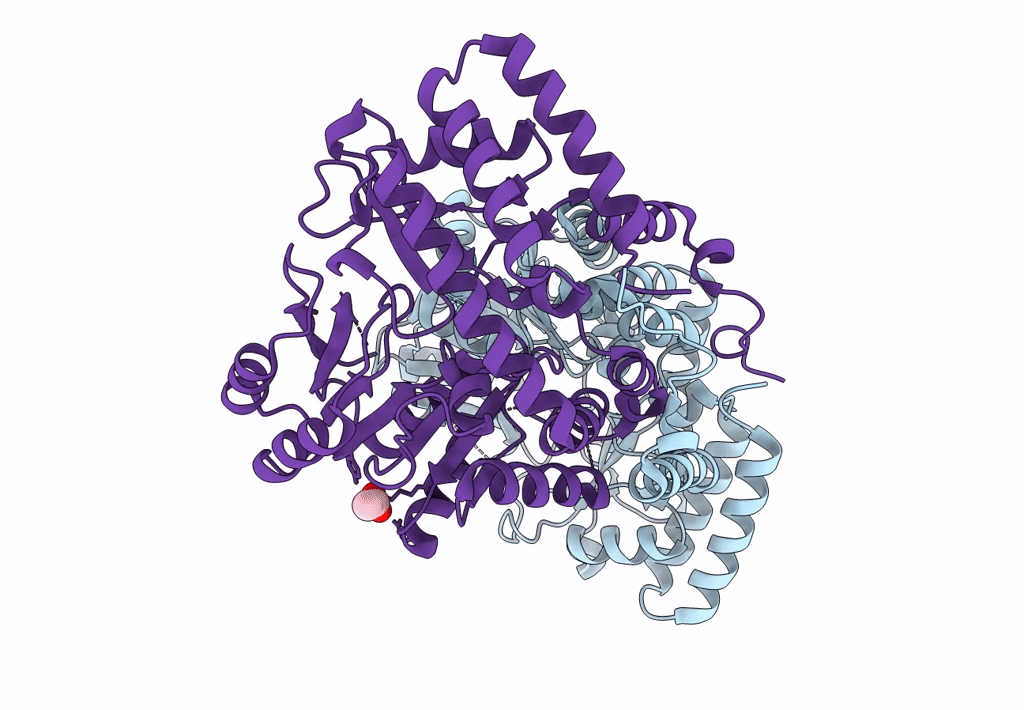 3GBX image
