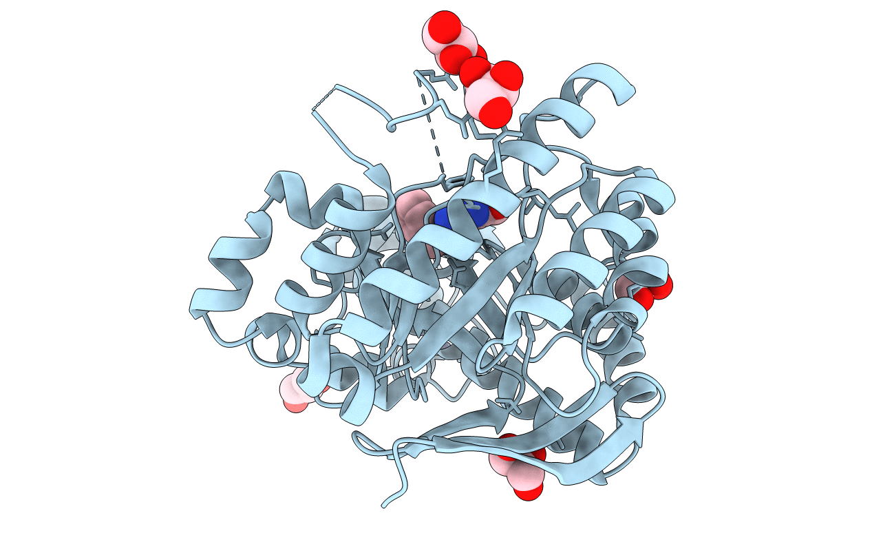 3GC4 image