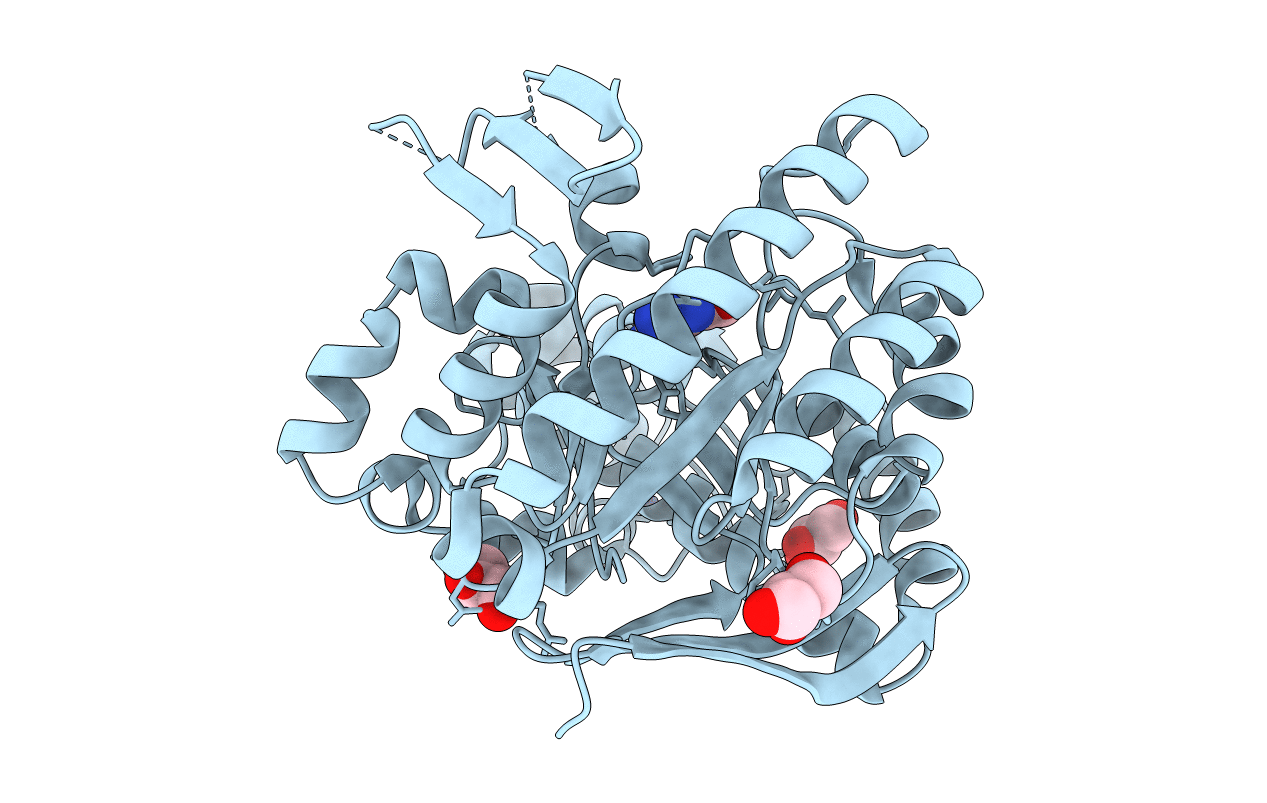 3GC5 image