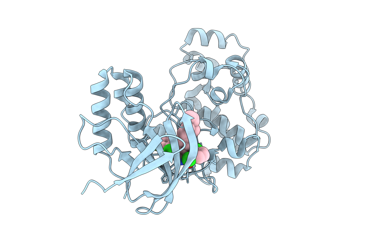 3GC7 image