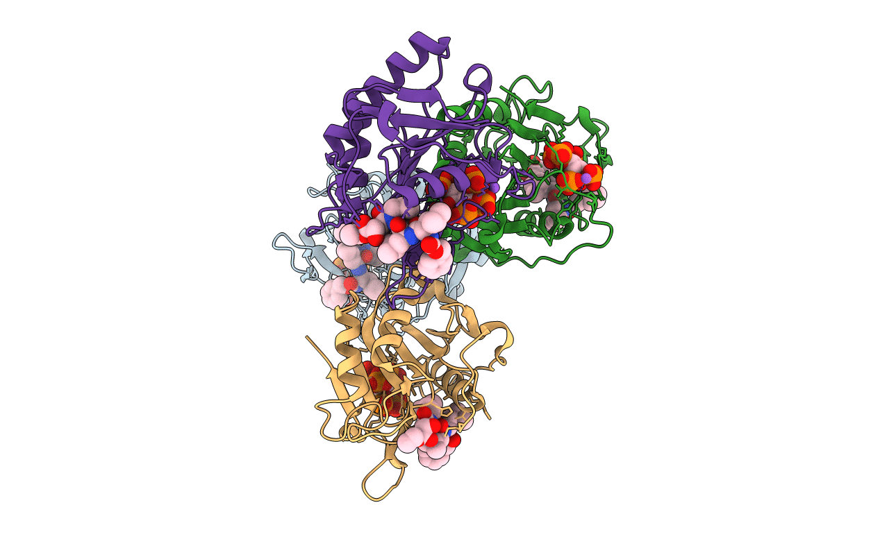 3GCD image