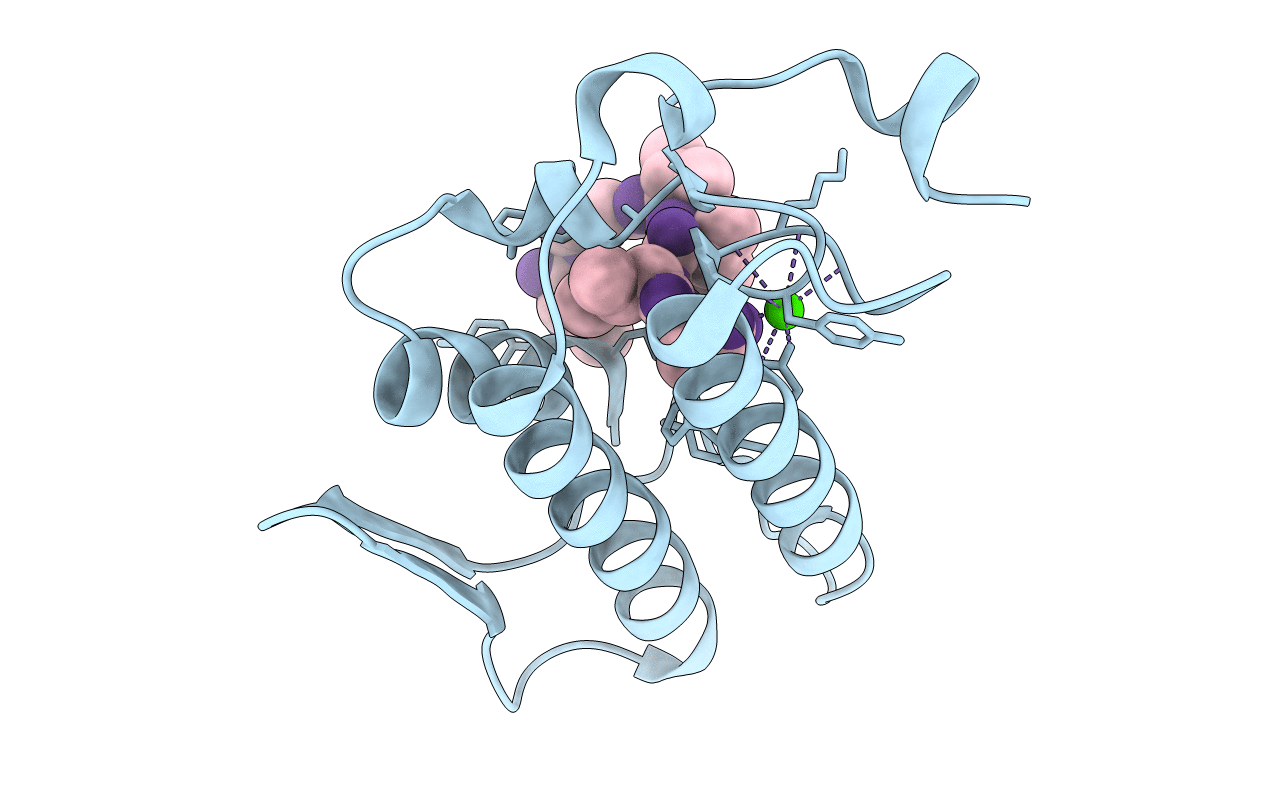 3GCI image