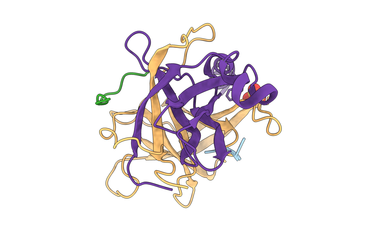 3GCT image