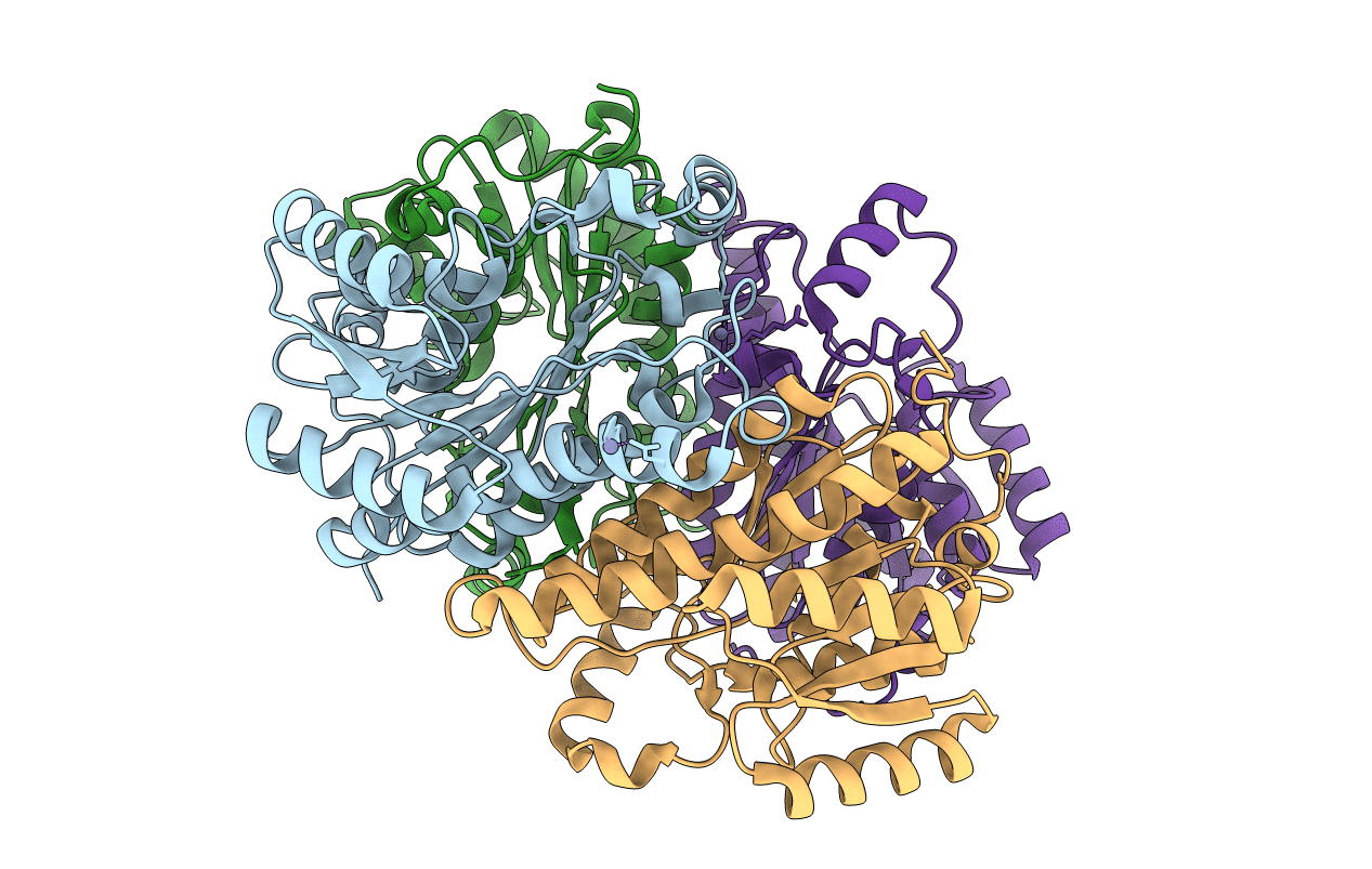 3GDF image