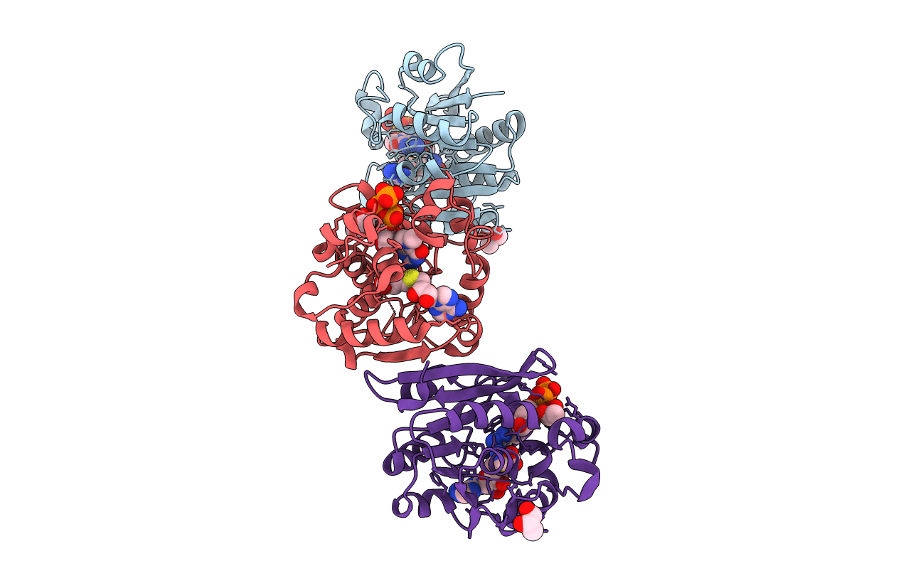 3GDH image