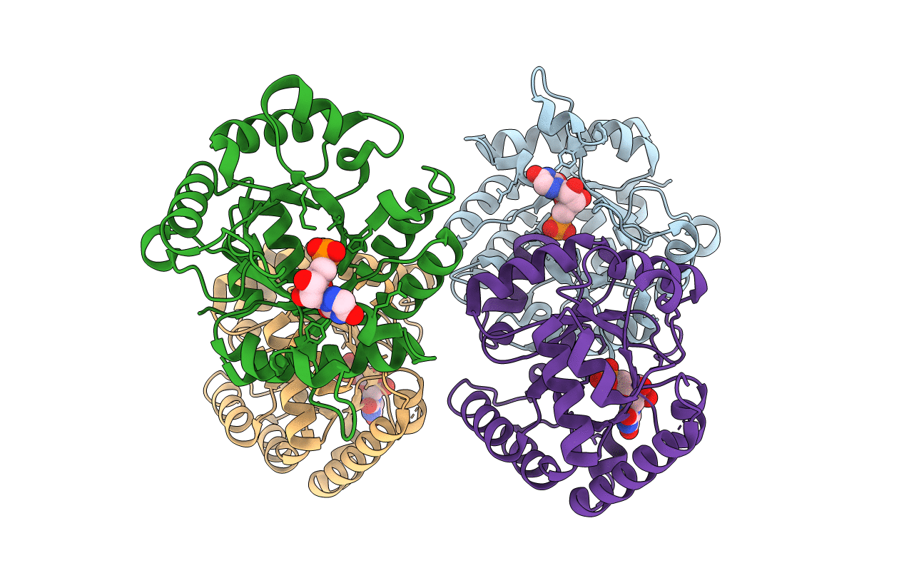 3GDT image