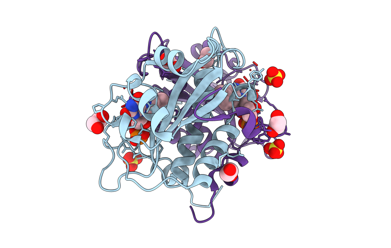 3GE5 image