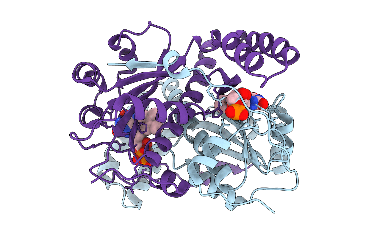 3GE6 image