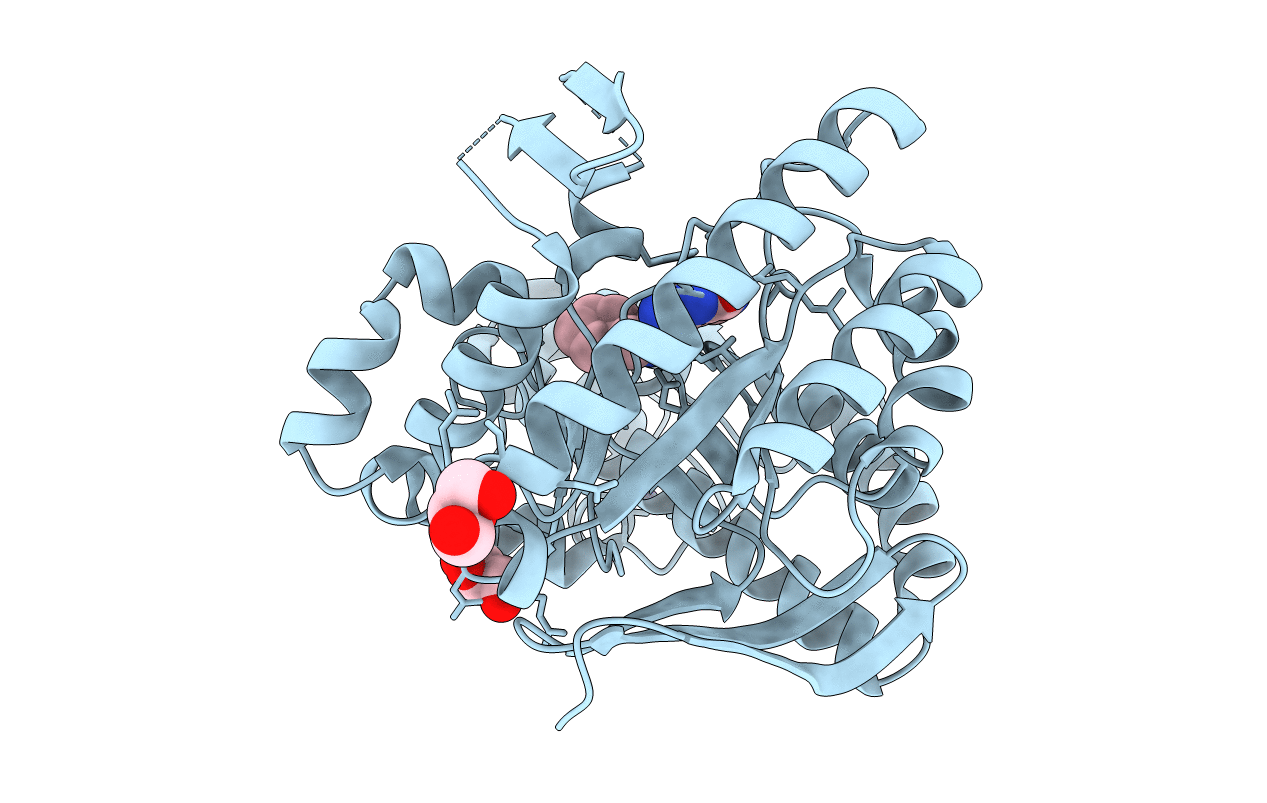 3GE7 image
