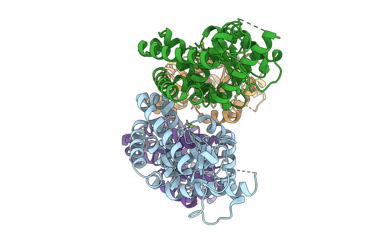 3GEB image
