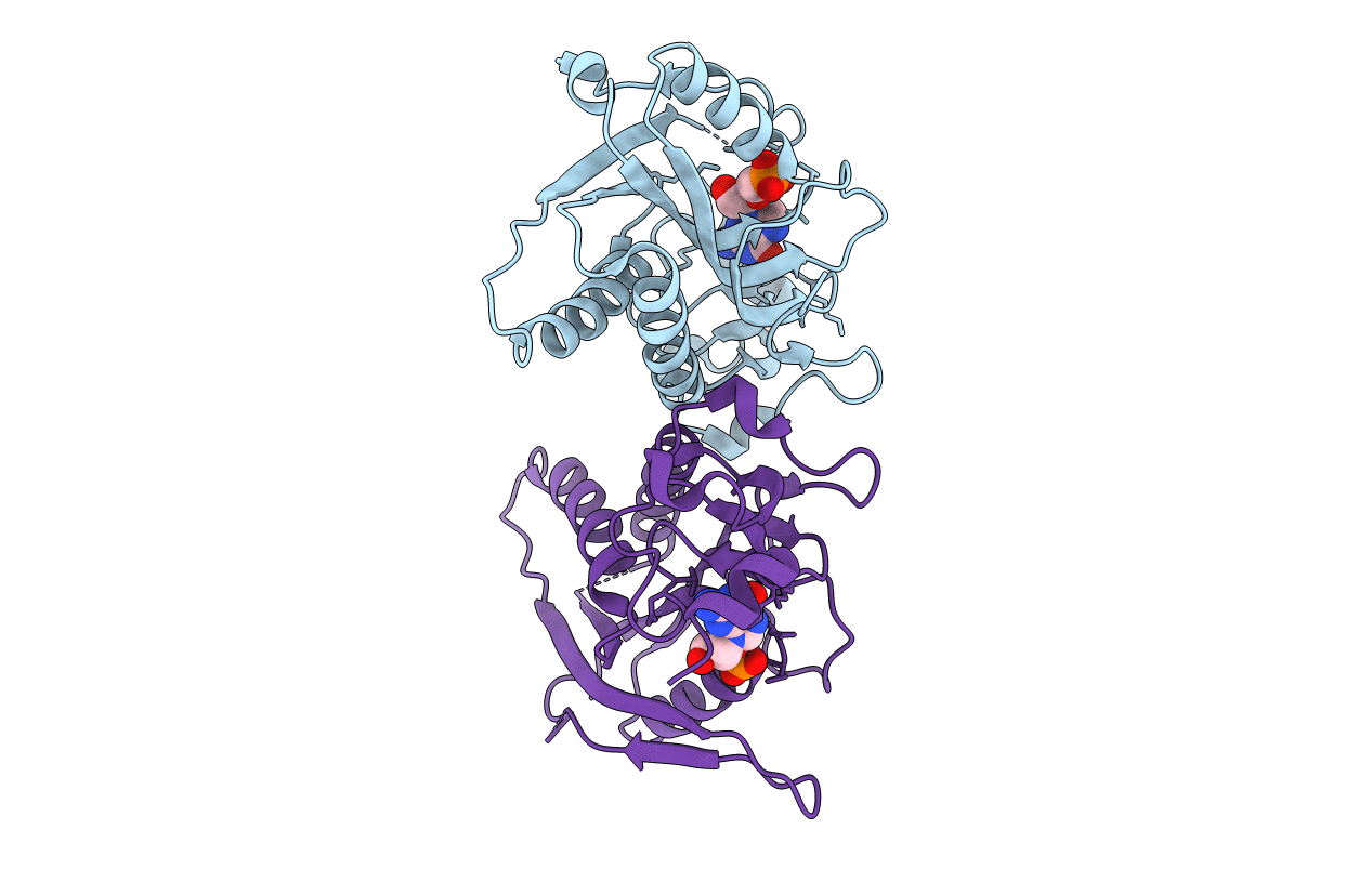 3GEP image