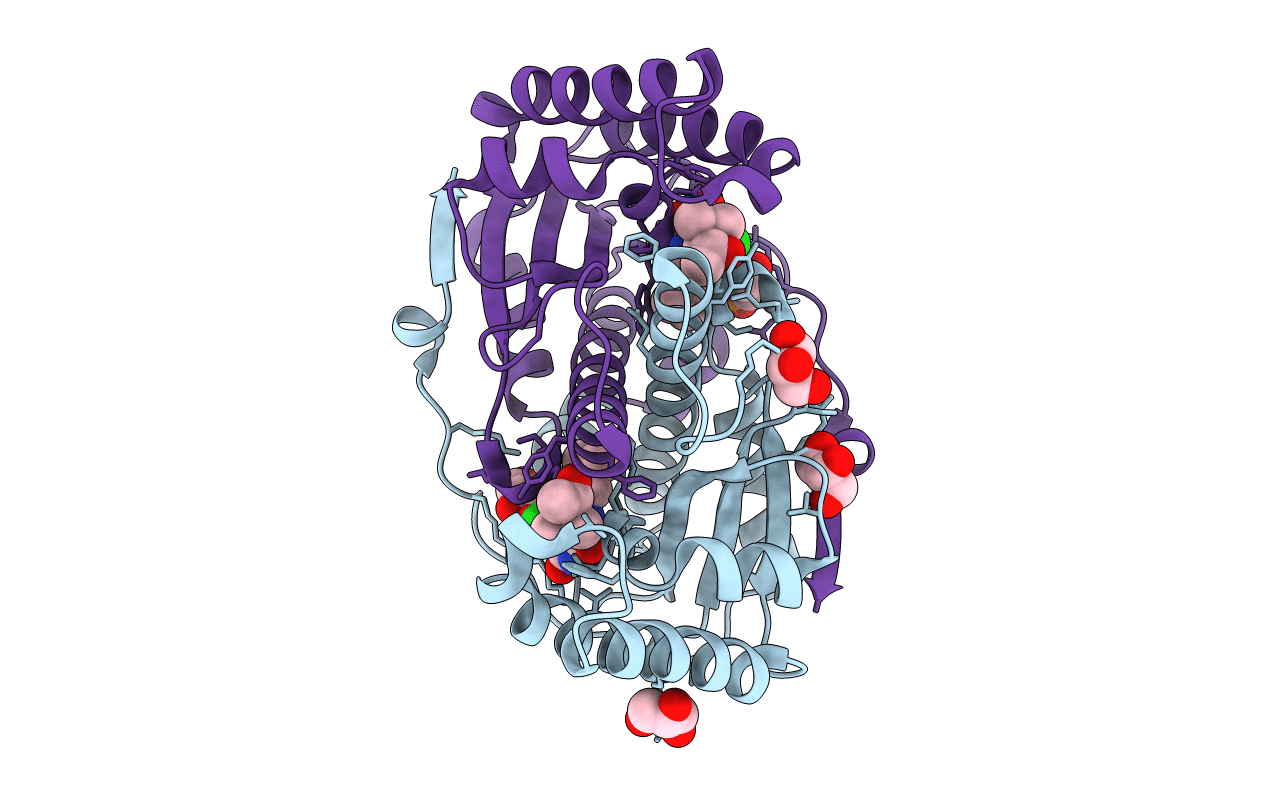 3GFA image