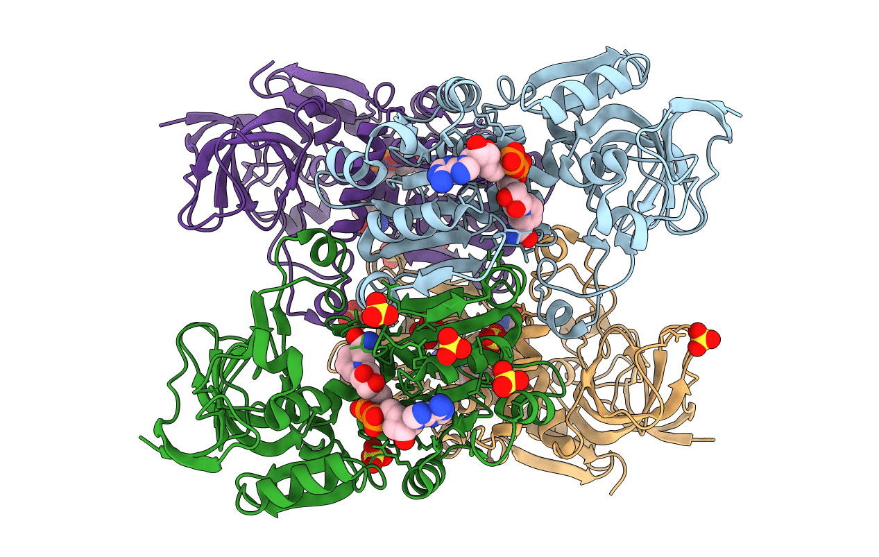 3GFB image