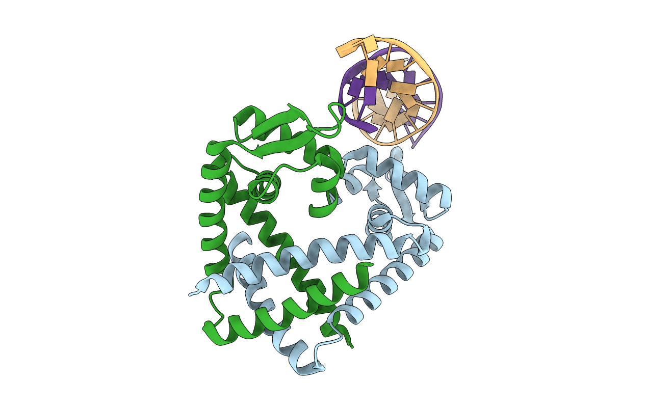3GFI image
