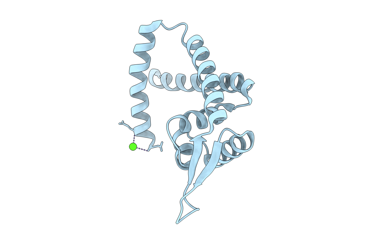 3GFL image