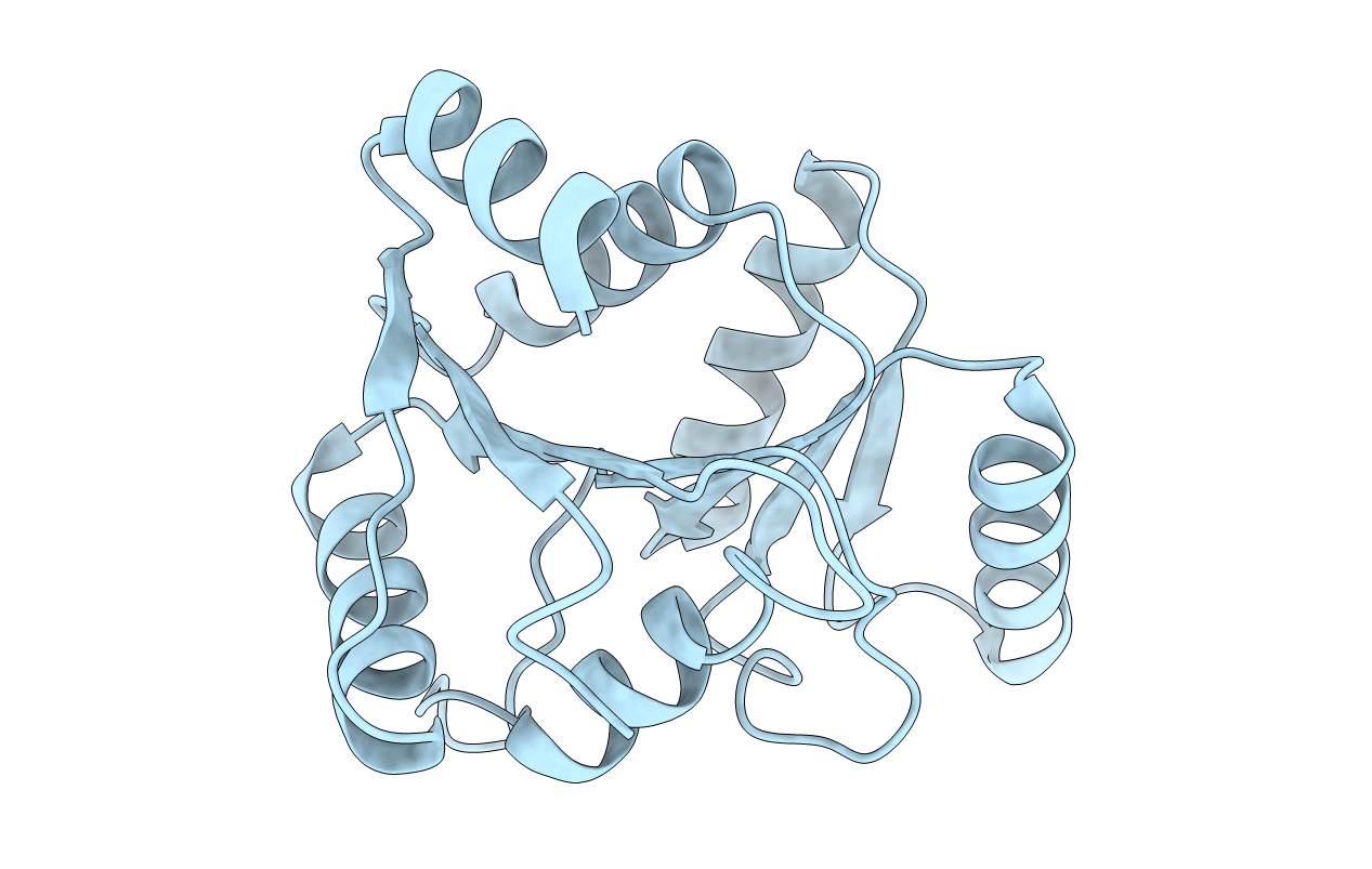 3GFP image