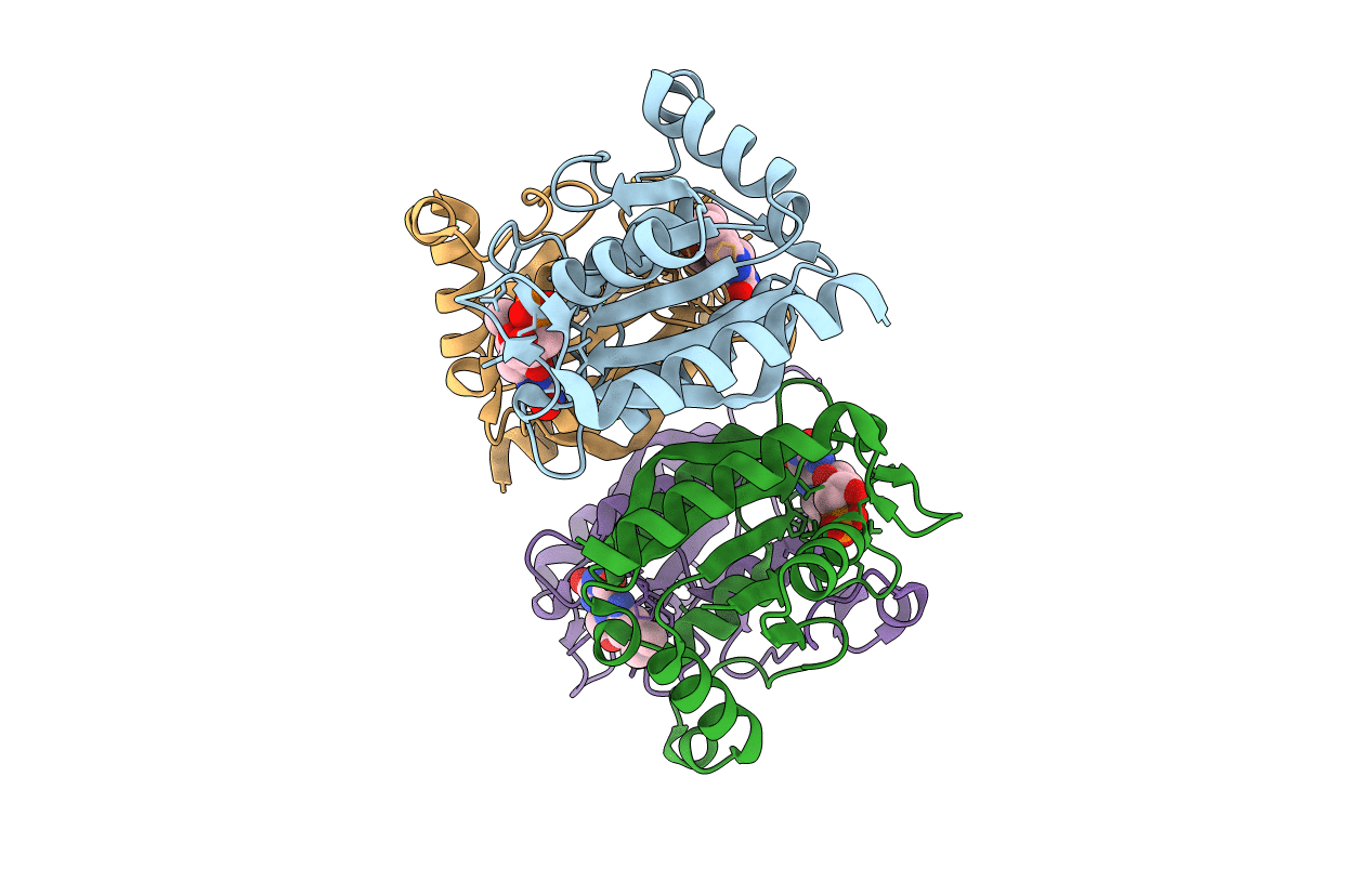3GFR image
