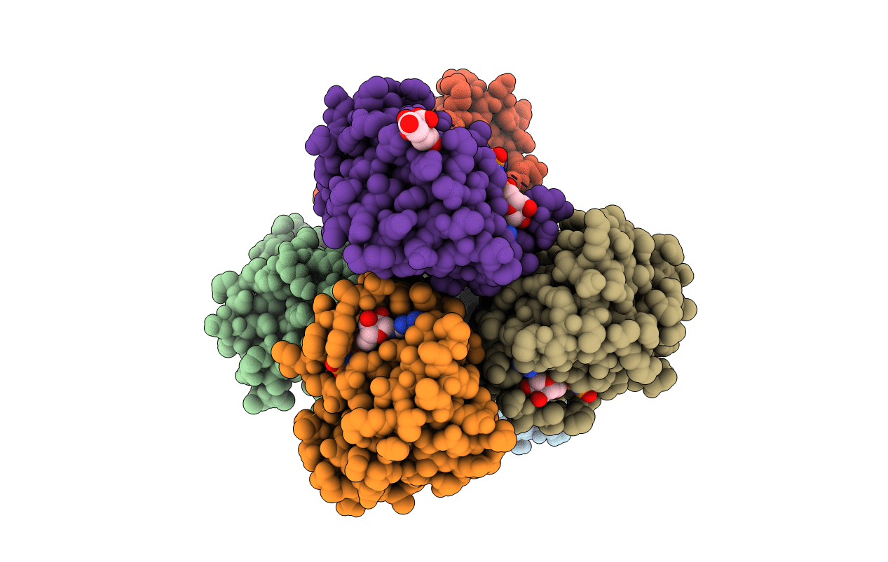 3GFT image