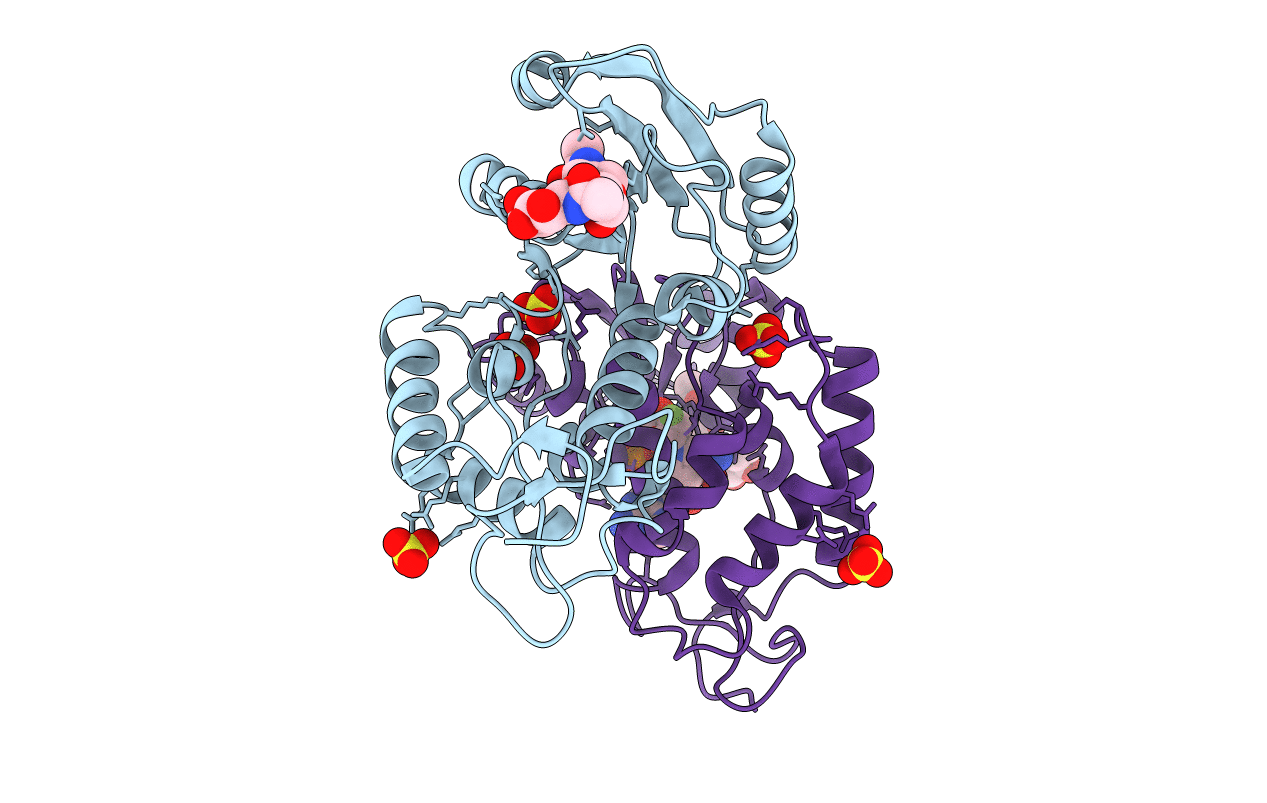 3GHH image