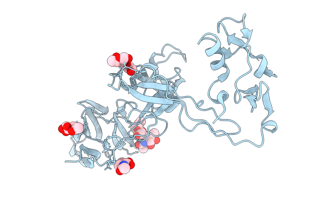 3GHN image