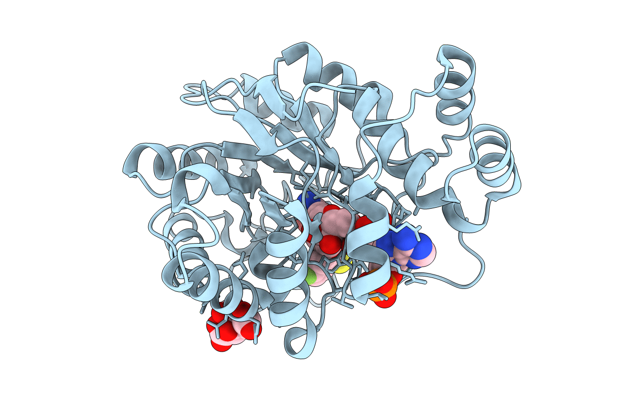 3GHS image
