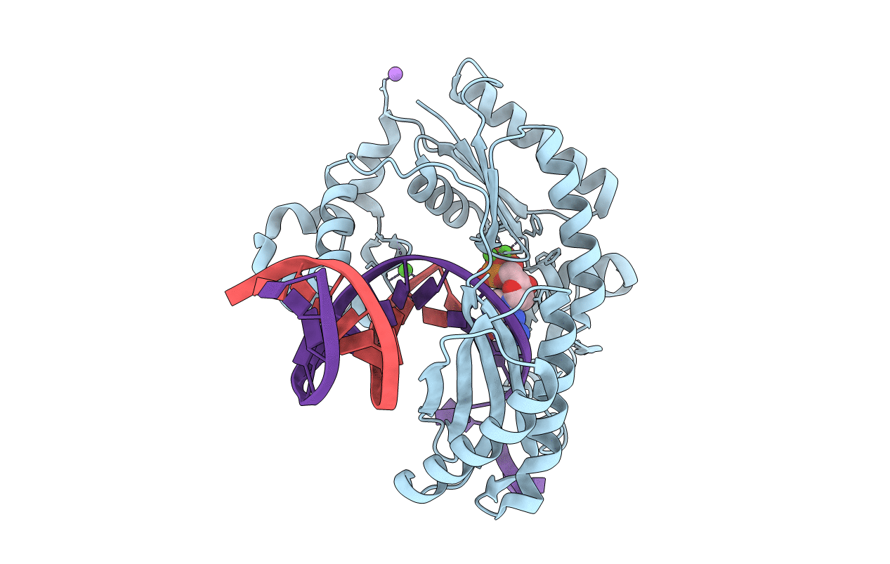 3GII image