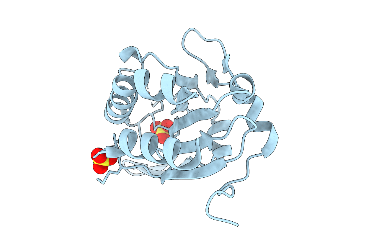 3gkk image