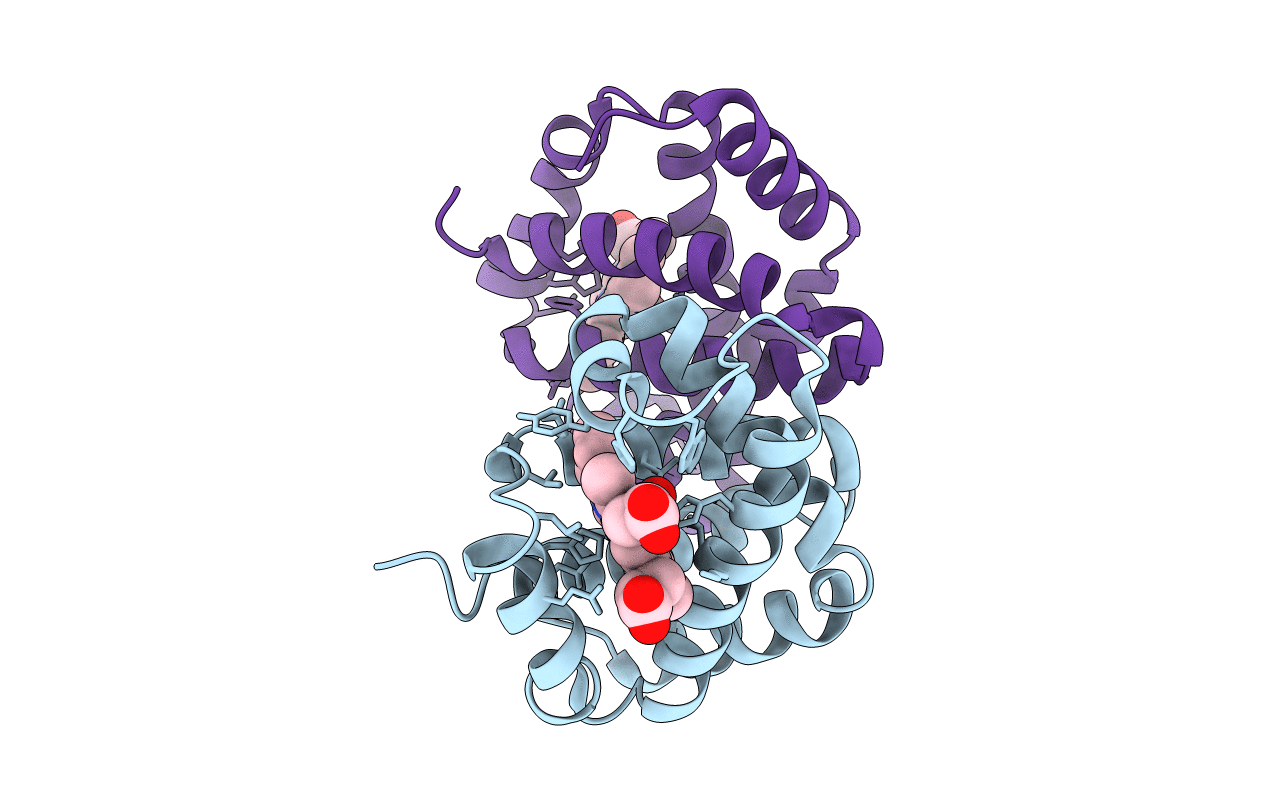 3GKV image
