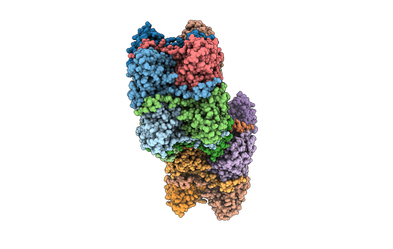 3GLC image