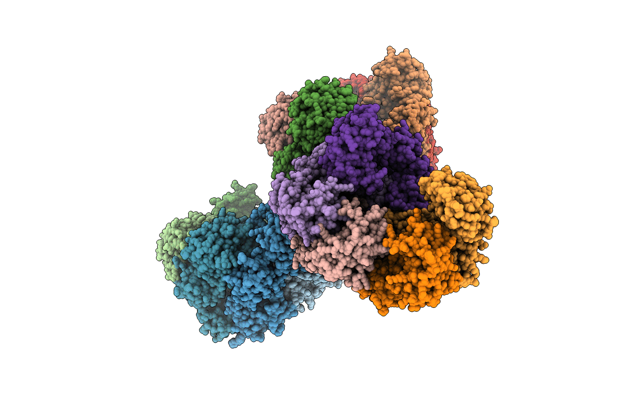 3GLH image