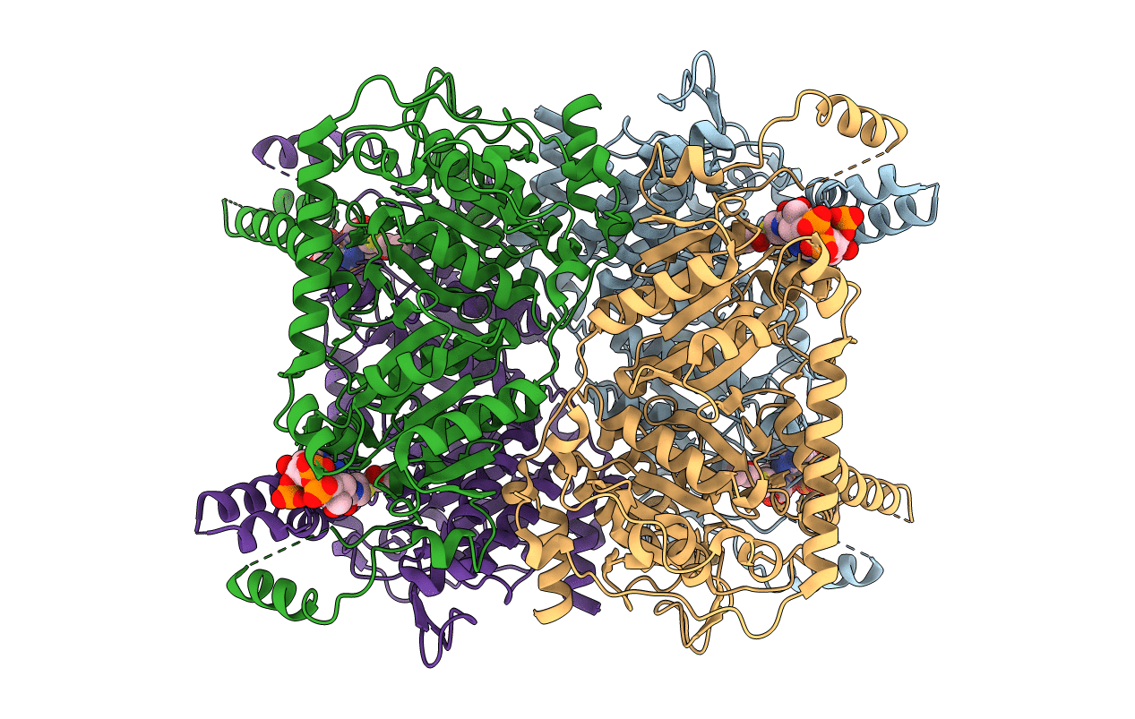 3GLM image