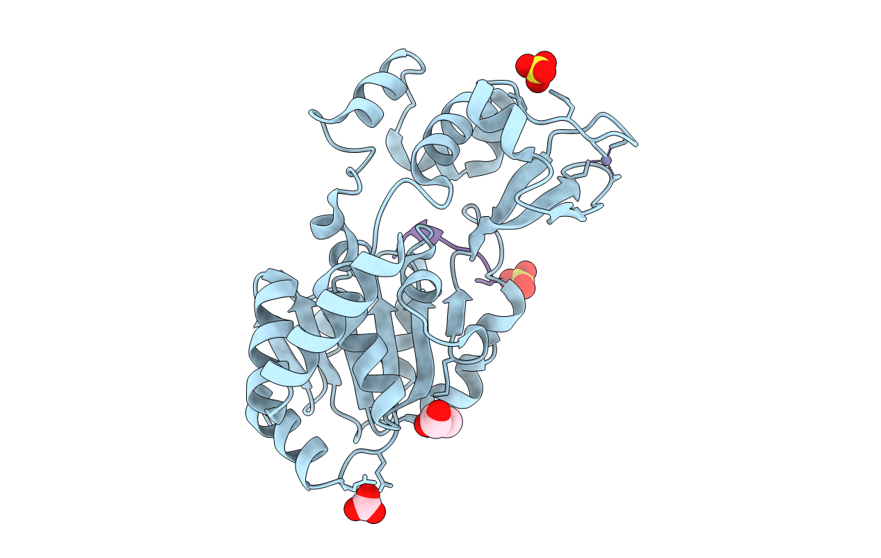 3GLR image