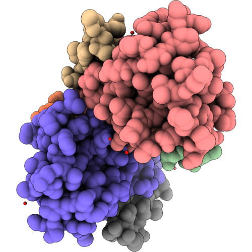 3GM1 image