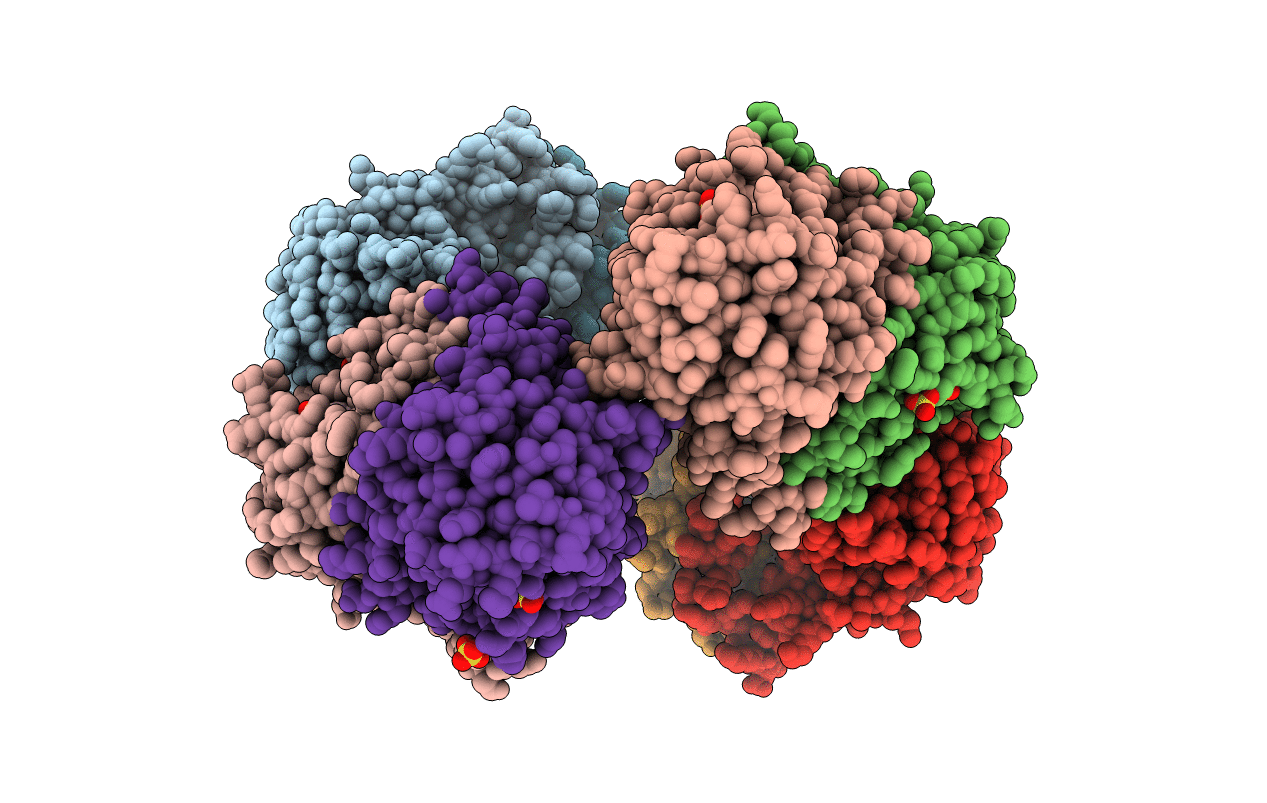 3GMD image
