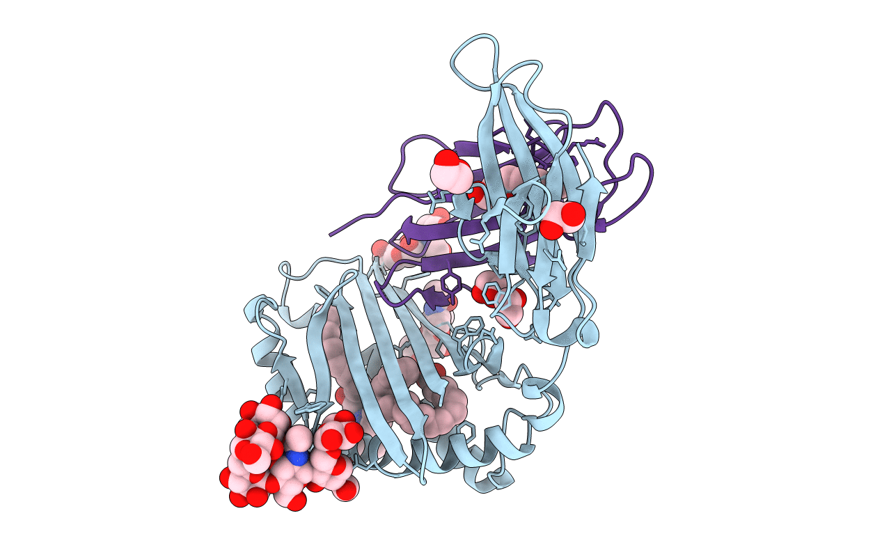 3GMR image