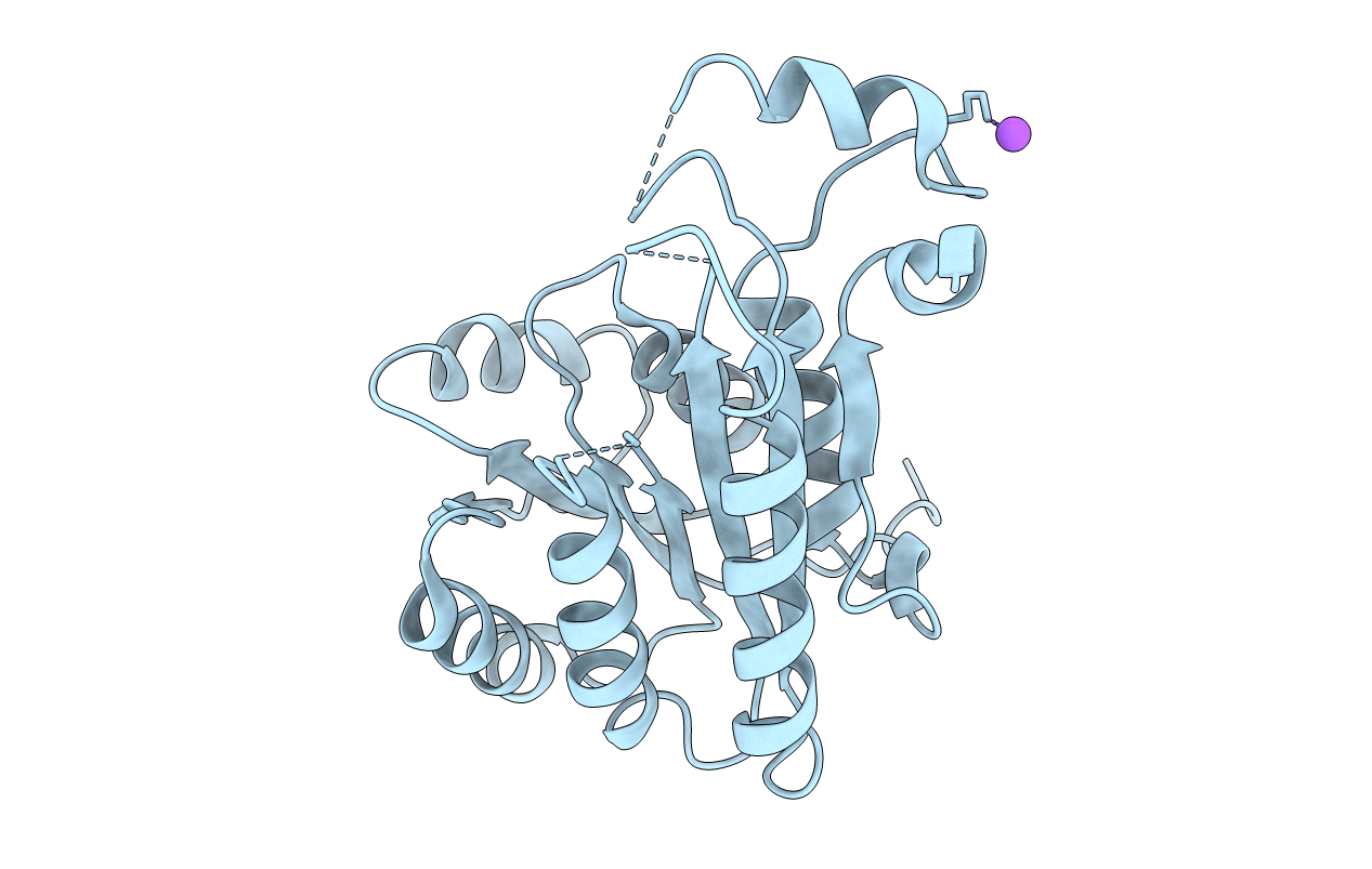 3GNS image