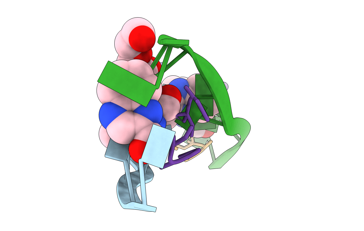3GO3 image