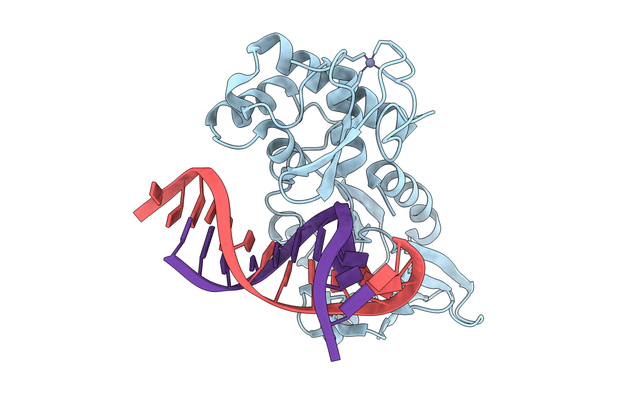 3GP1 image