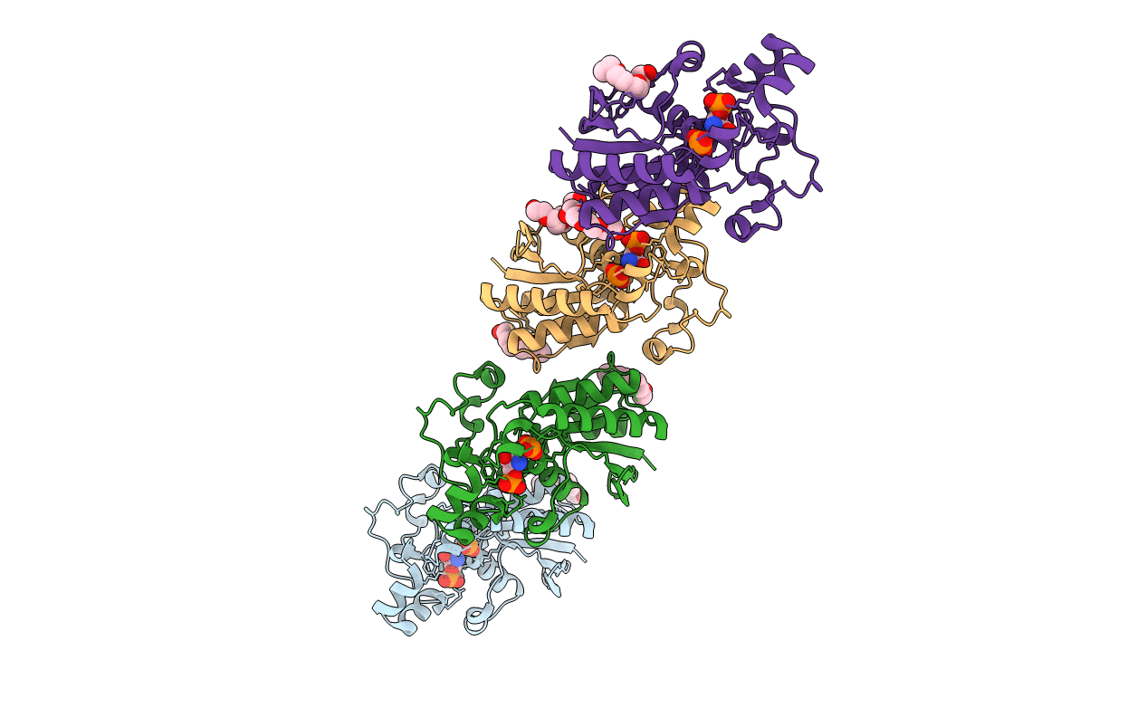 3GP3 image