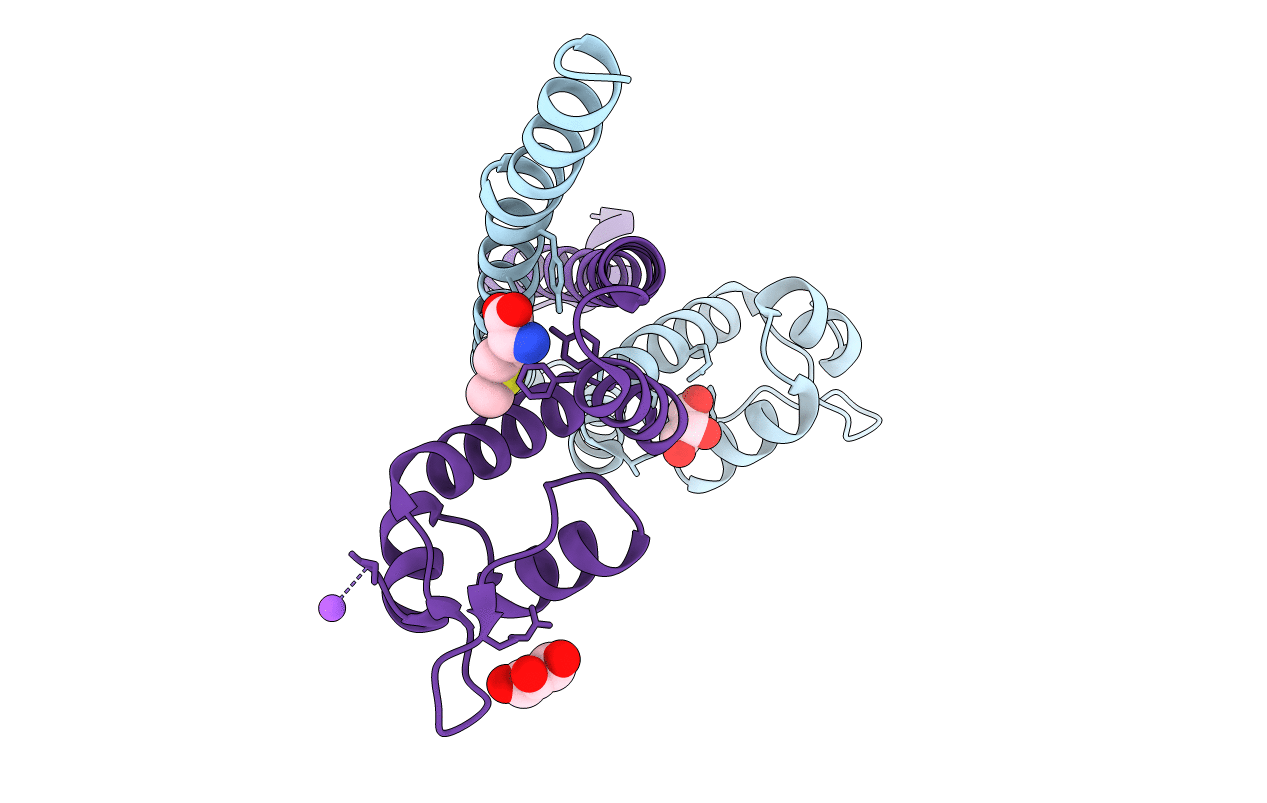 3GP4 image