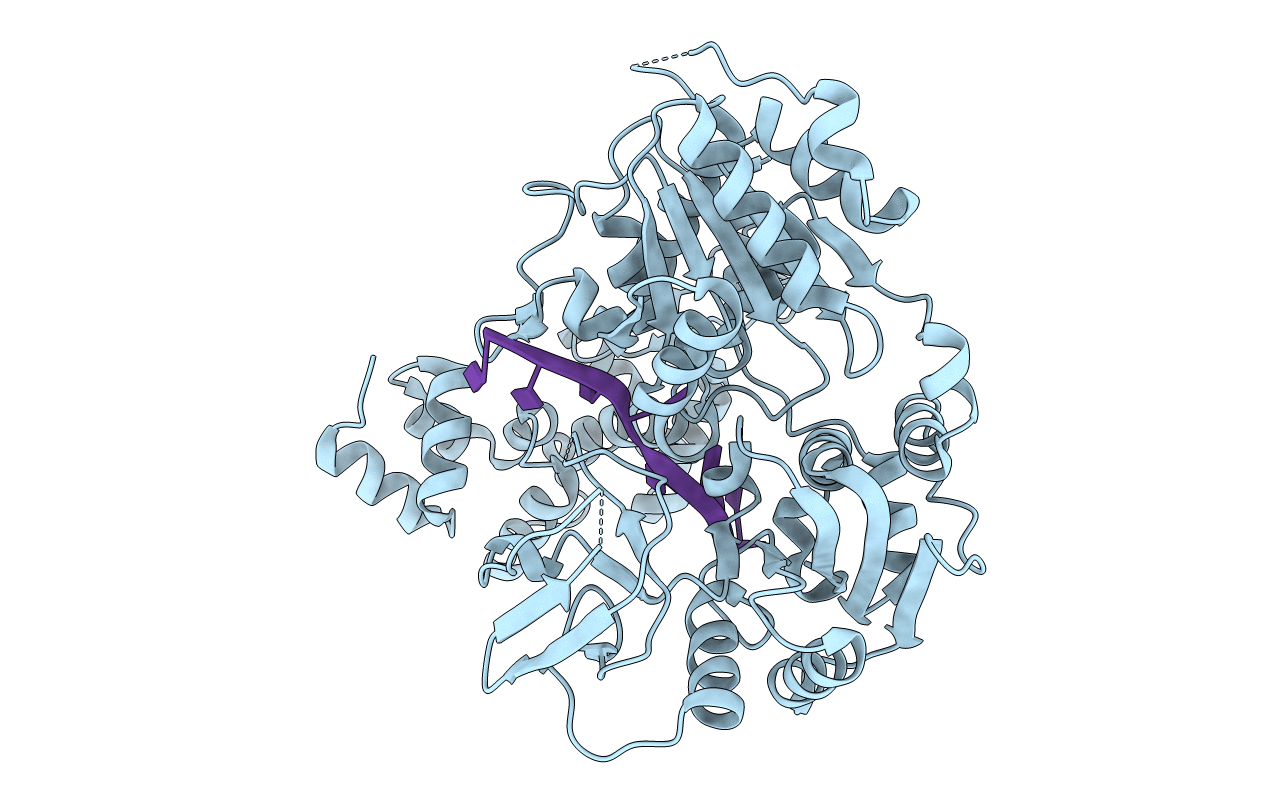 3GP8 image