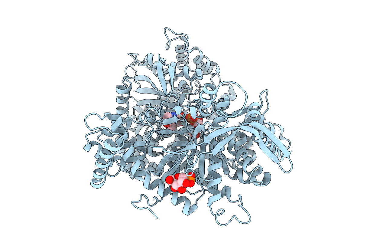 3GPB image